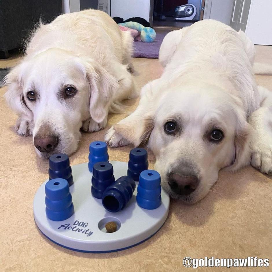 TRIXIE Dog Activity Solitaire Game, Level 1, Dog Puzzle, Treat Dispenser