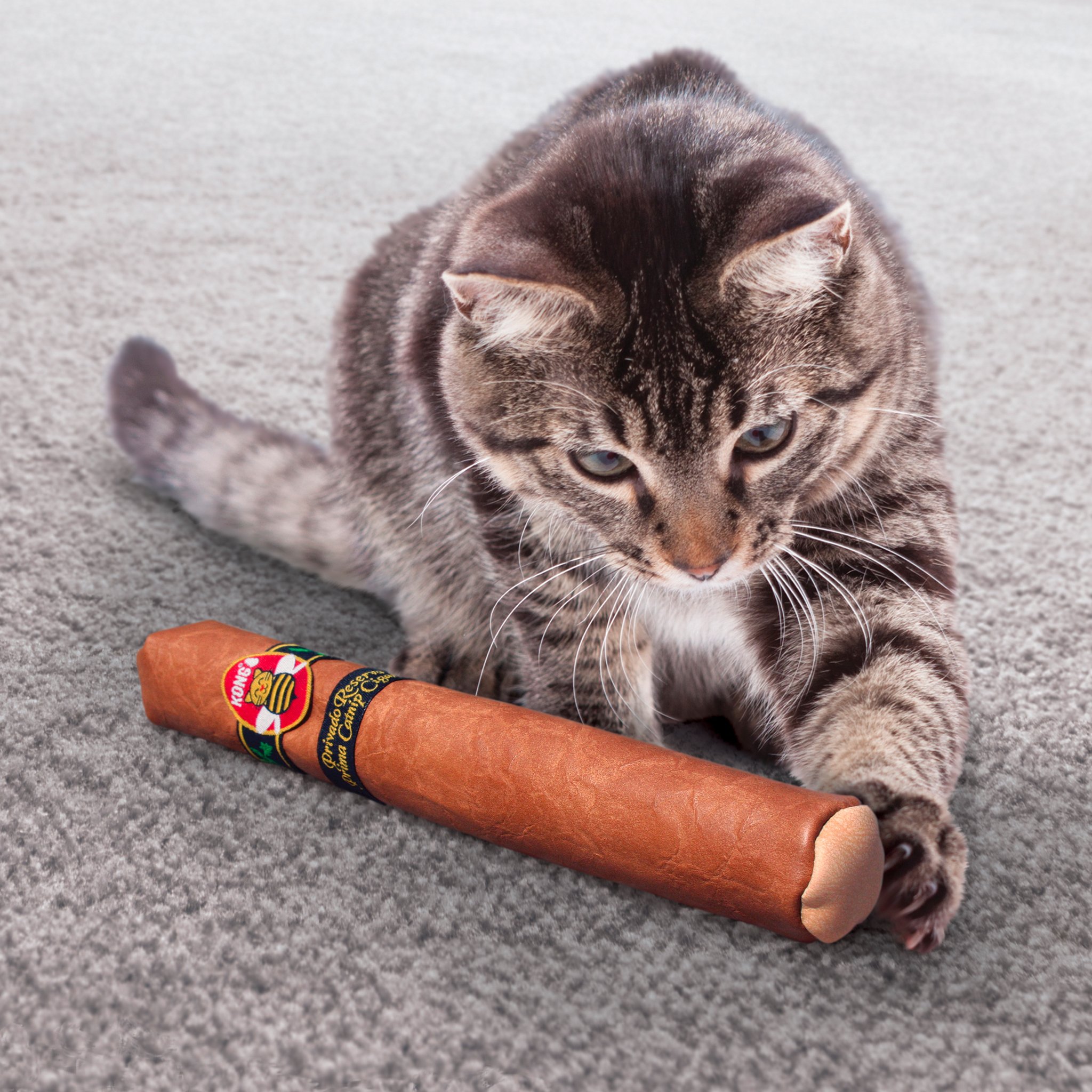 how many cigarettes in a king size pack How Many Cigarettes Are in a Pack? A Definitive Guide how many cigarettes in a king size pack How Many Cigarettes Are in a Pack? A Definitive Guide