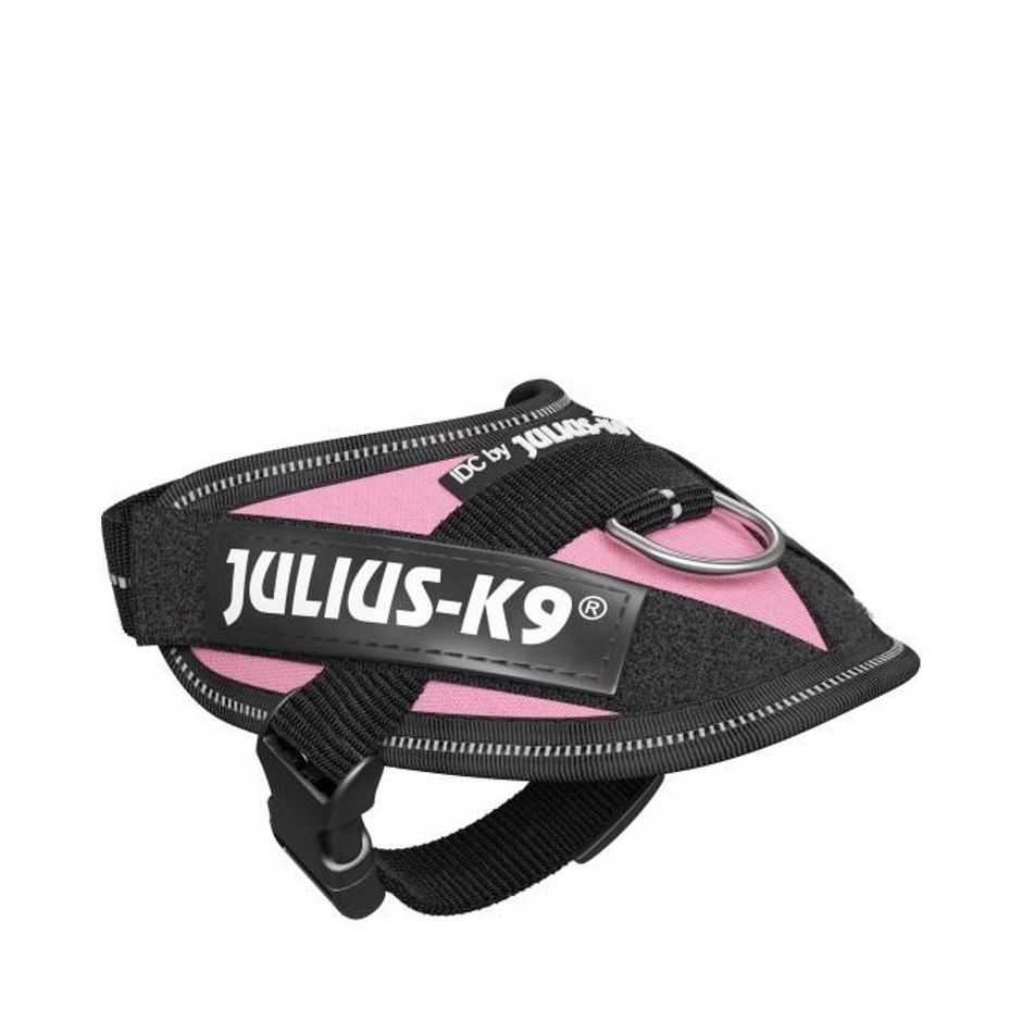 Buy Julius-K9 IDC Harness Pink for your dog Tinybuddy