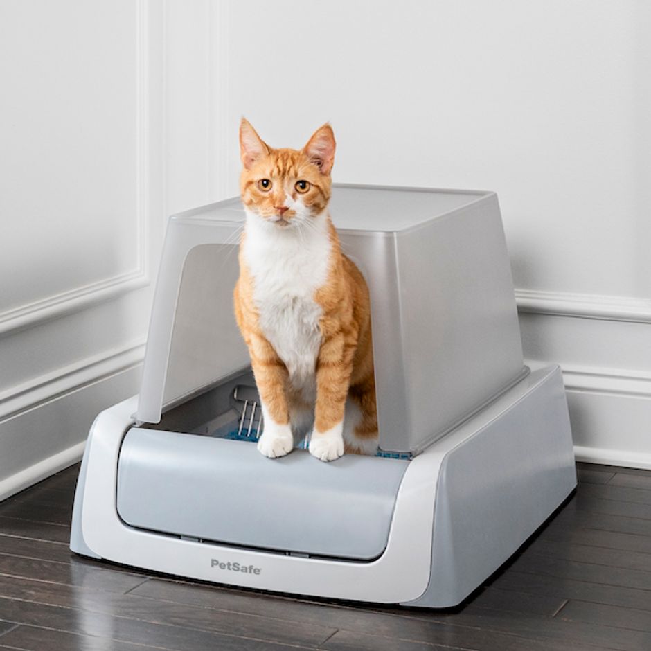 Cleaning Cat Litter Ultra Scoopfree Review Petsafe Scoopfree Ultra