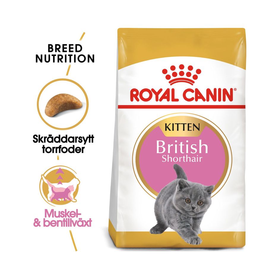 Buy Royal Canin British Shorthair Kitten Tinybuddy
