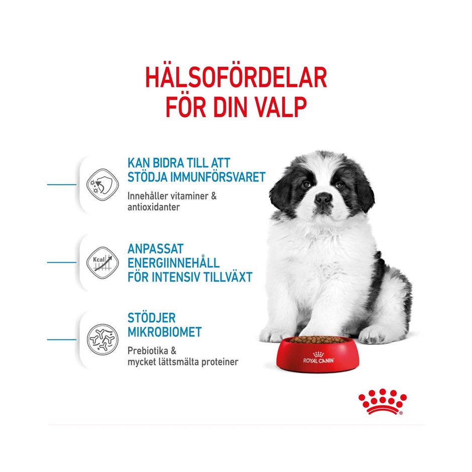 Buy Royal Canin Giant Puppy for your dog | Tinybuddy