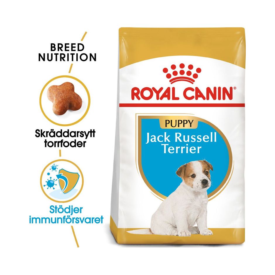 Buy Royal Canin Jack Russell Puppy for your dog Tinybuddy