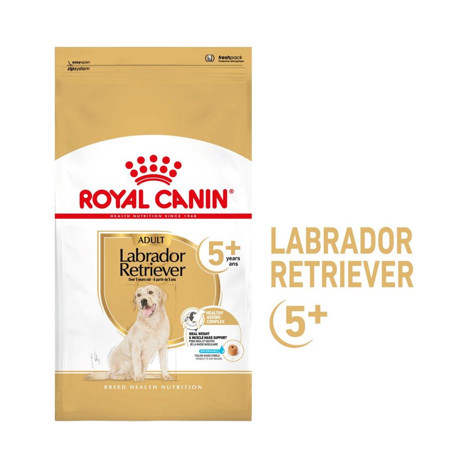 Buy Royal Canin Labrador Retriever Adult 5+ for your dog Tinybuddy