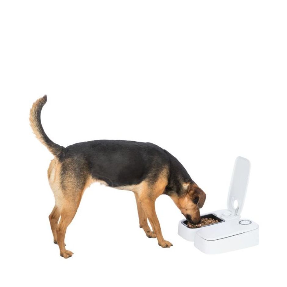 Buy Trixie TX2 Automatic Feeder Double for your dog or cat Tinybuddy
