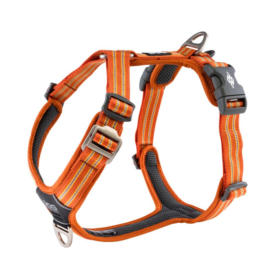 Breathable stylish ergonomic harness for cats - . Gift Ideas