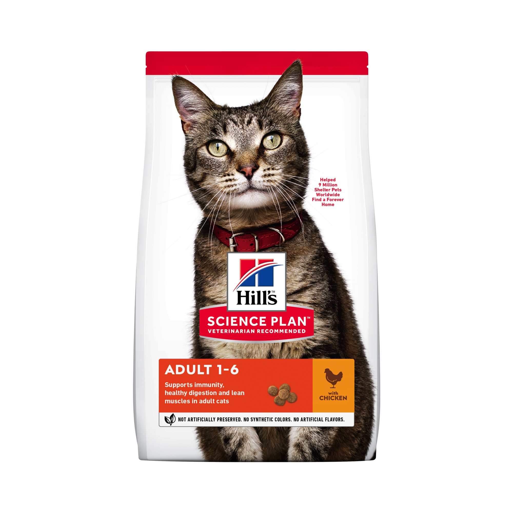 Buy Hill's Cat Adult Chicken for your dog or cat | Tinybuddy