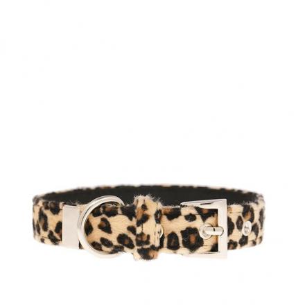 Urban Pup Collar - Leopard