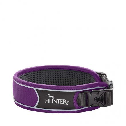 Hunter Divo Collar Purple