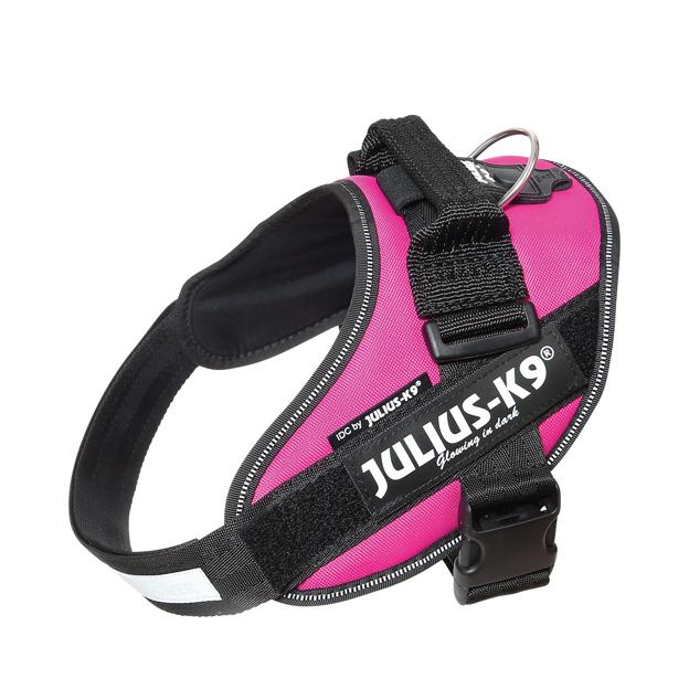 Buy Julius-K9 IDC Harness Black for your dog Tinybuddy