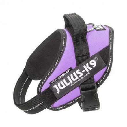 Julius-K9 IDC Harness Purple