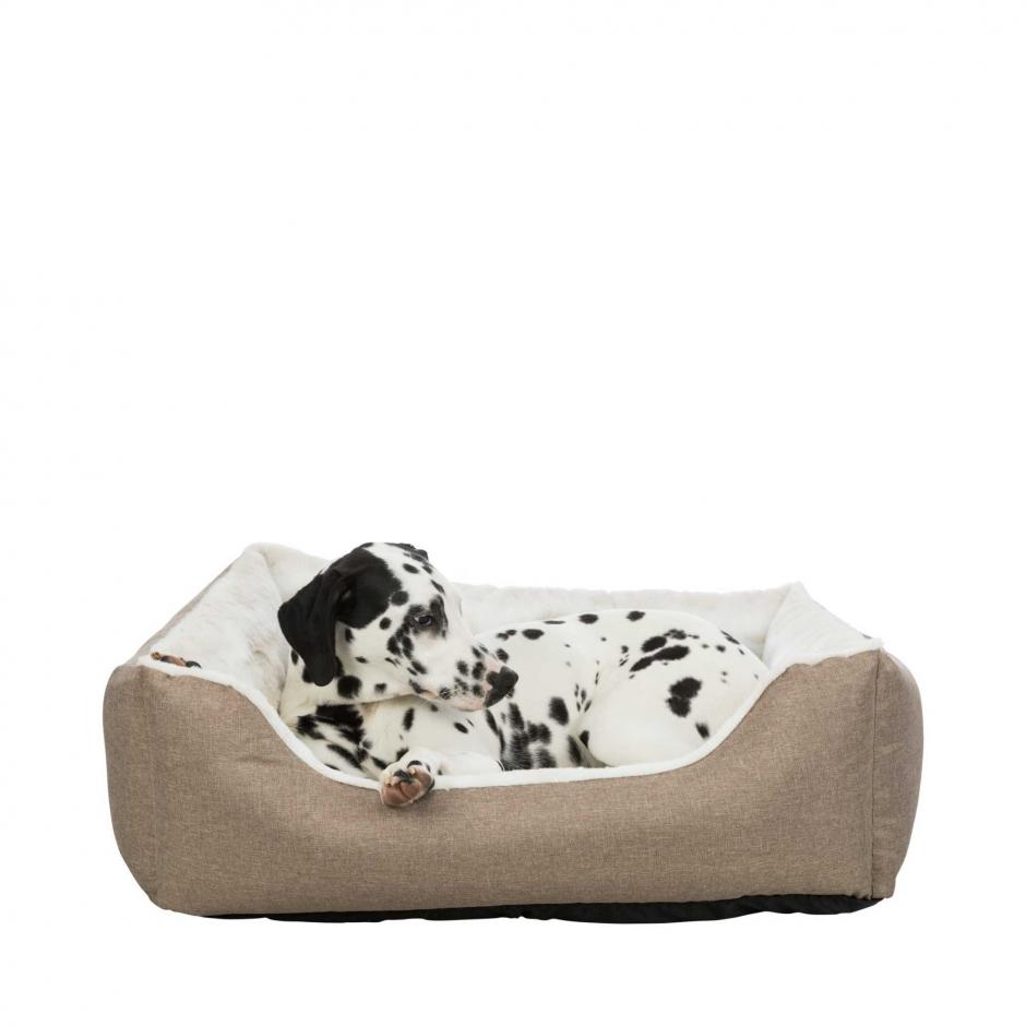 Buy Dog Bed for your dog | Tinybuddy