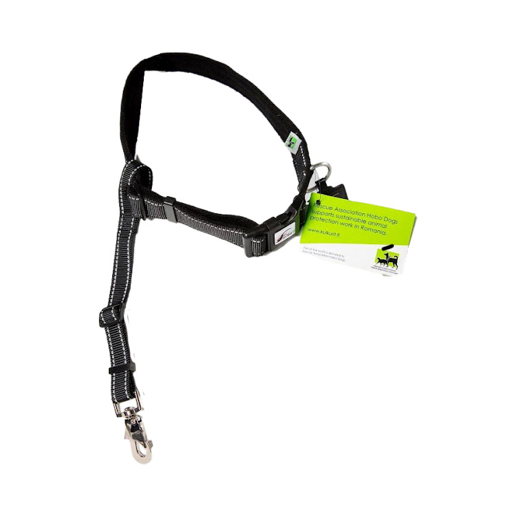 Buy Rescue Harness Lock for your dog | Tinybuddy