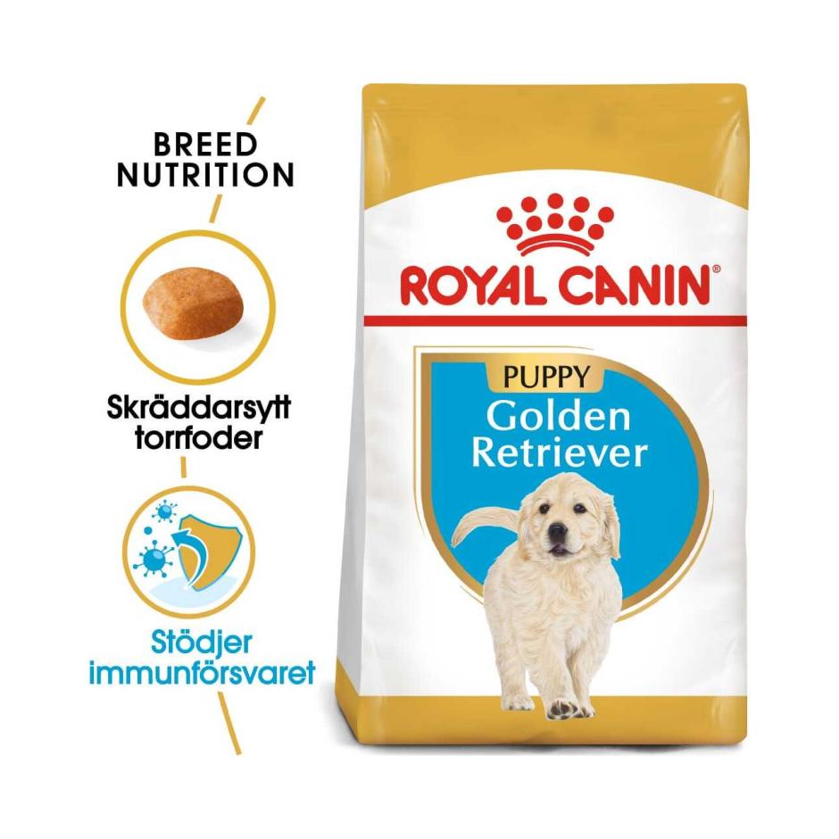 gallon redden Briesje Buy Royal Canin Golden Retriever Puppy for your dog | Tinybuddy
