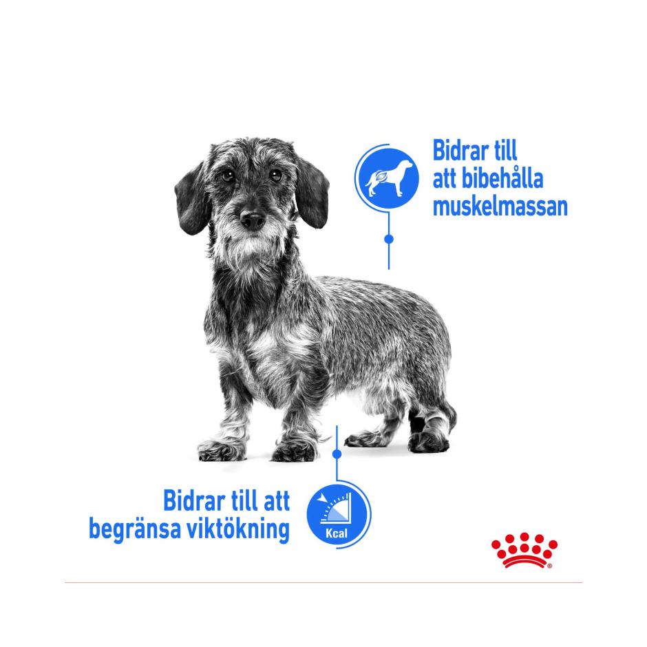 Først insulator Blueprint Buy Royal Canin Light Weight Care Mini for your dog | Tinybuddy