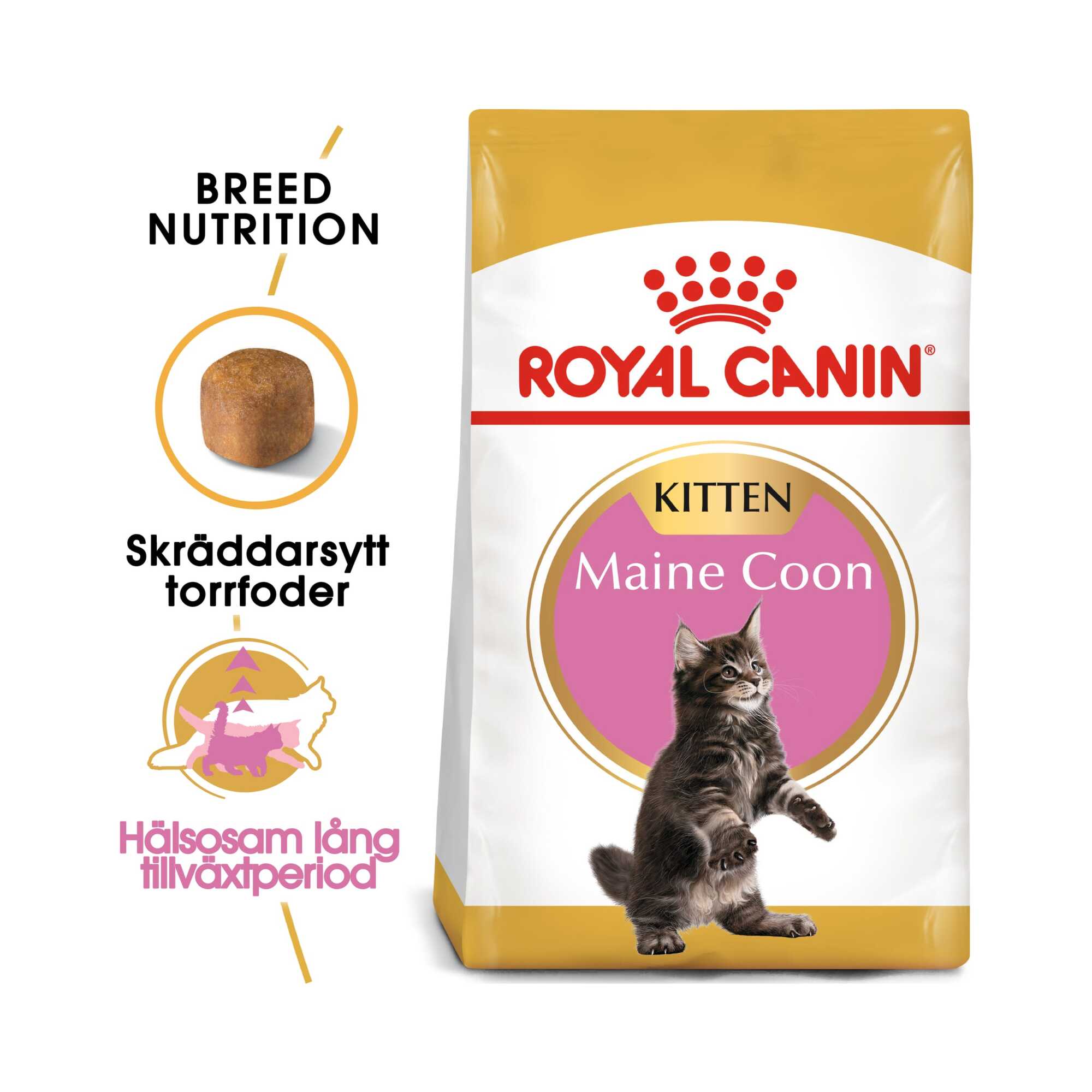 Buy Royal Canin Maine Kitten for your dog cat Tinybuddy