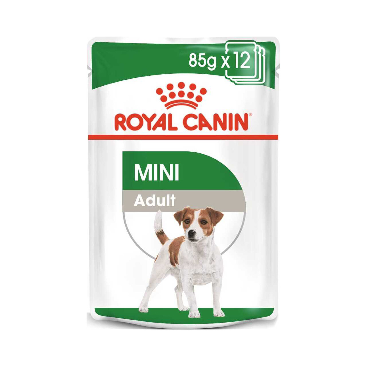 Michelangelo teksten Verzorger Buy Royal Canin Mini Adult Wet for your dog | Tinybuddy