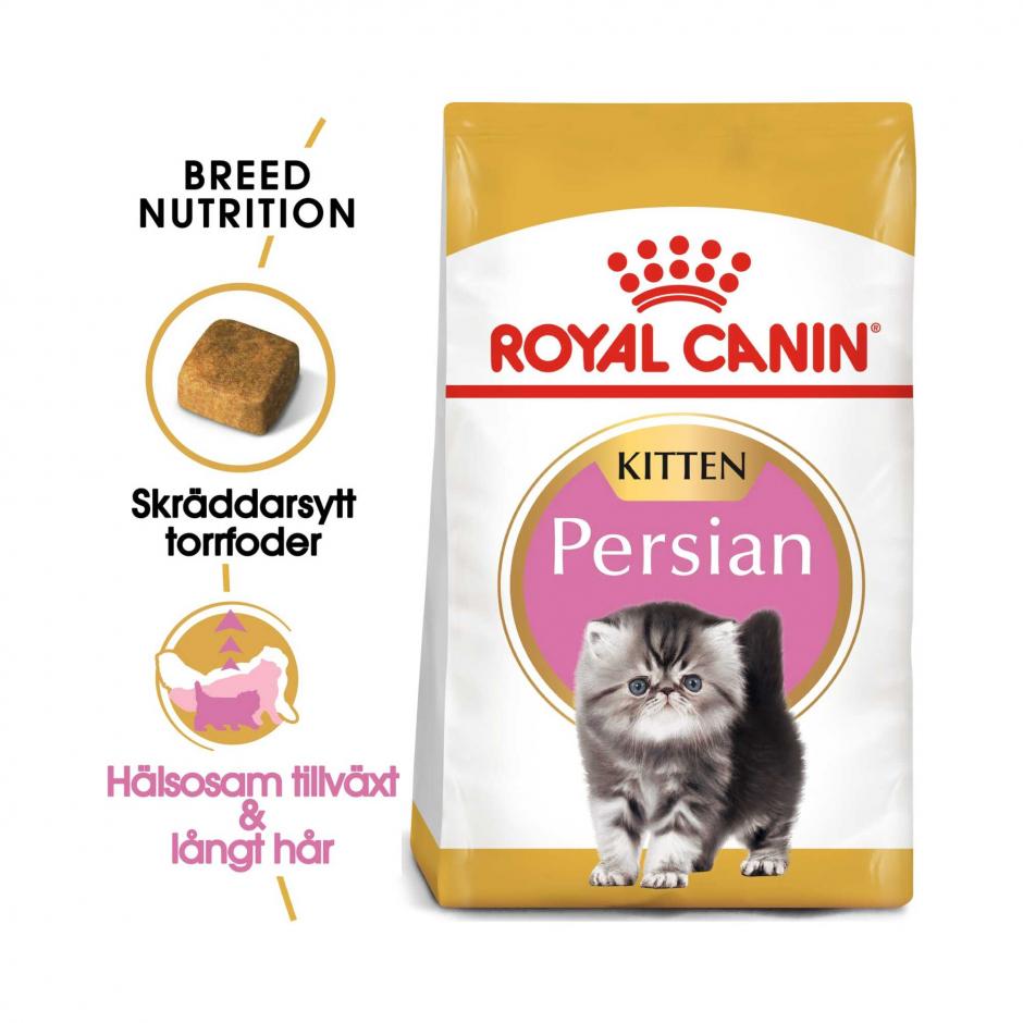 Laat je zien bewijs Voorbijgaand Buy Royal Canin Persian Kitten for your dog or cat | Tinybuddy