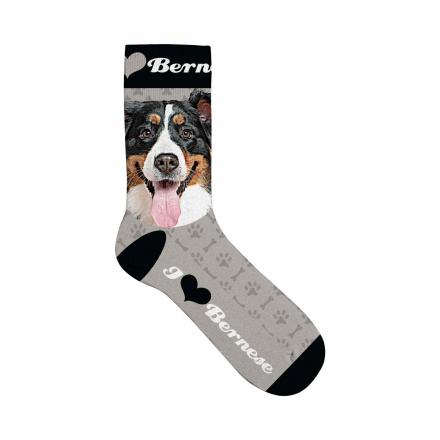 Socks with Dog Motif Bernese Mountain Dog