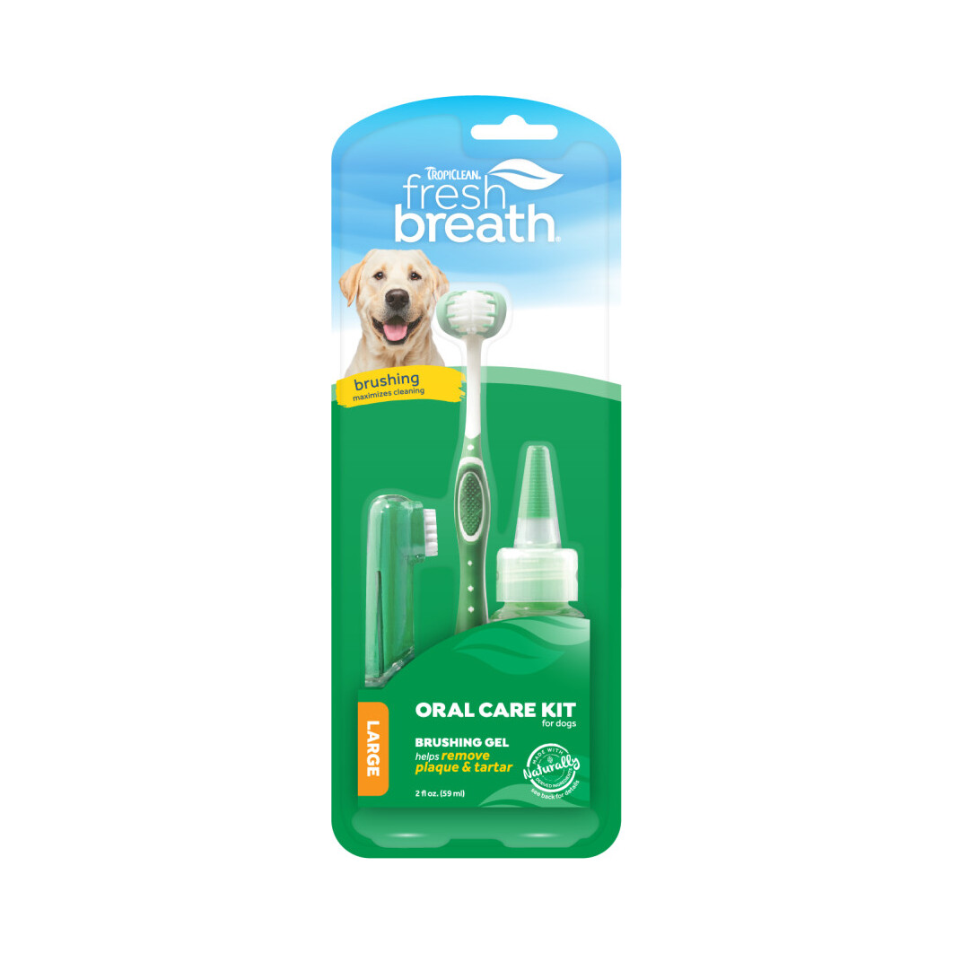 Mediator Manhattan kontanter Buy TropiClean Oral Care Kit For Large Dog for your dog | Tinybuddy